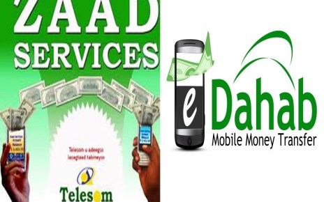 Somaliland government has launched an e-shilling service as the new mode of paying civil servants salaries.