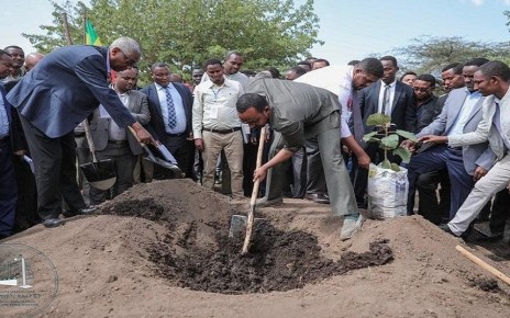 Ethiopia has inarguably taken the lead in the implementation of Climate-Resilient Green Economy to protect itself from the adverse effects of climate change with significant resources being deployed towards reducing Greenhouse Gas (GHG) emissions.