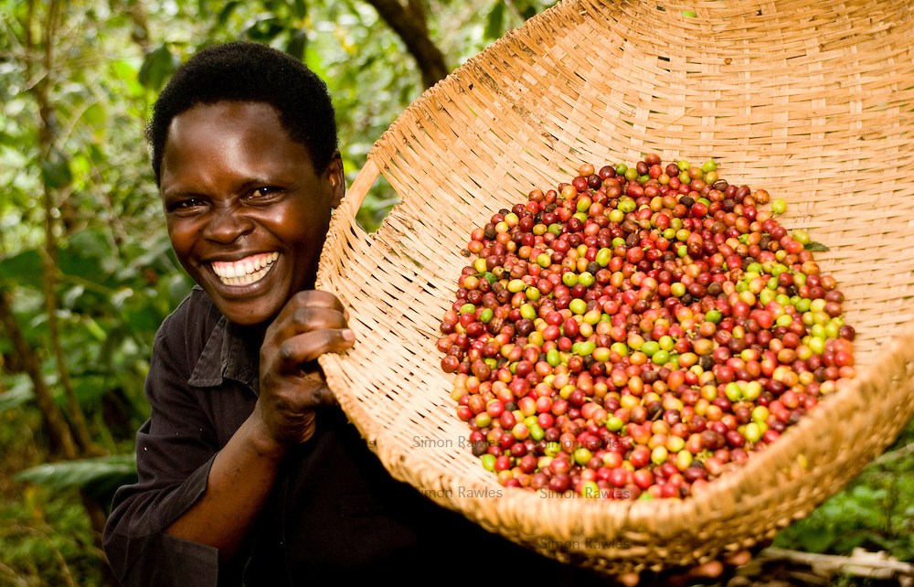 MoU to support smallholder farmers-PAFO, AGRA