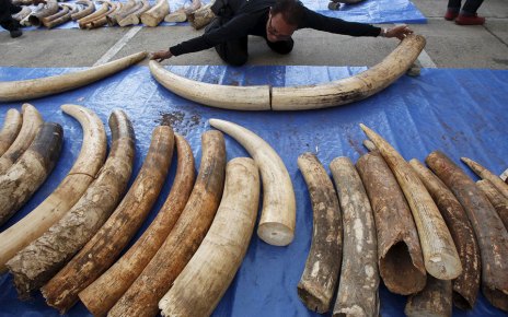New Report Reveals Illicit Trade in East Africa