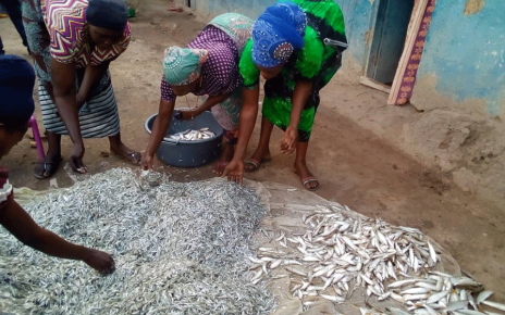 NutriFish Project Tackles Malnutrition in Uganda
