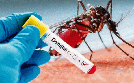 Rising Cases of Dengue Fever Worrying Somaliland