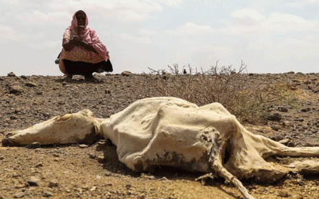 Horn of Africa’s Climate-Related Health Crisis Worsens-WHO