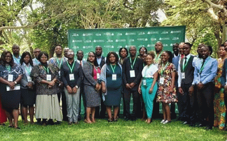 ECOSOCC Discusses Peace and Security in Africa