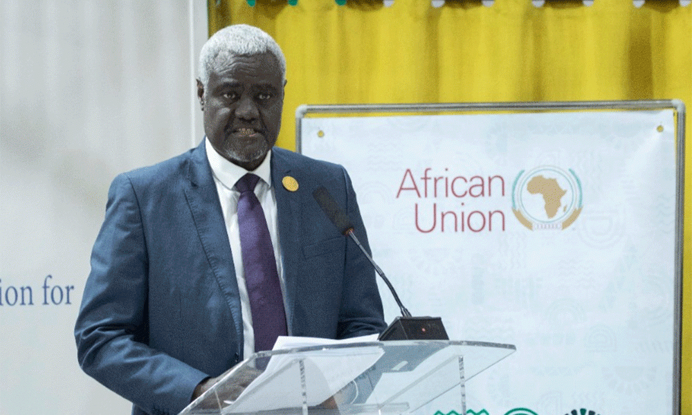 Time for Africa to Adopt Climate Change to Unlock Agricultural Potential