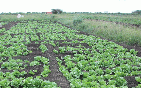 Solar Powered Water Gets Juba Farmers Back on Their Land