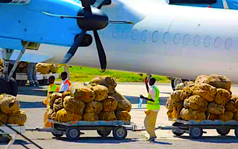 Kenya Khat Traders source Product from Ethiopia for Somalia