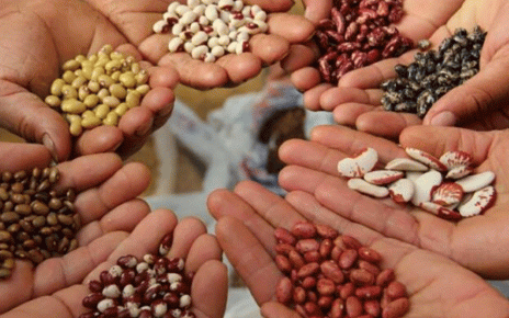 Farmers Demand Govt Not to Assent to AU Seed Laws-Ugandan