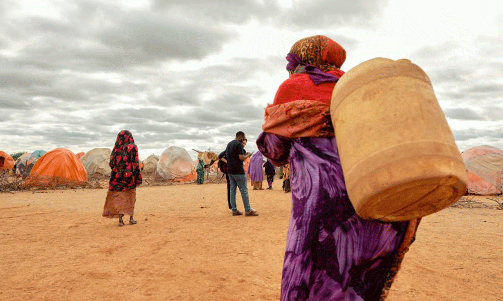 FAO and Germany Step up Humanitarian Action in Rural Somalia