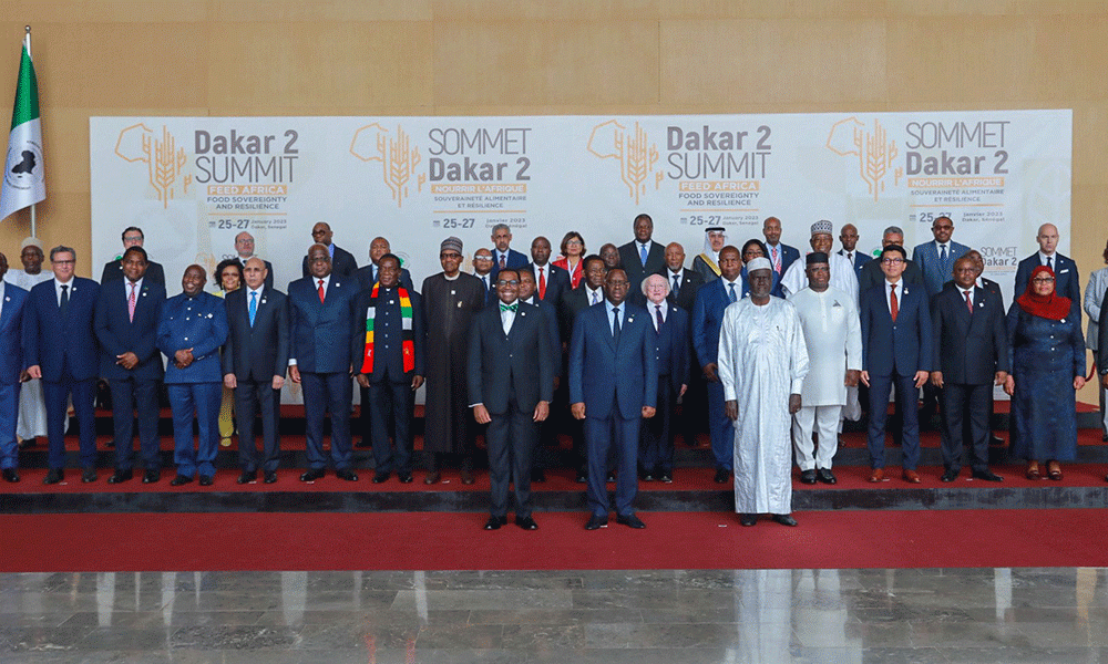 AfDB Commits to Make Africa the Breadbasket of the World