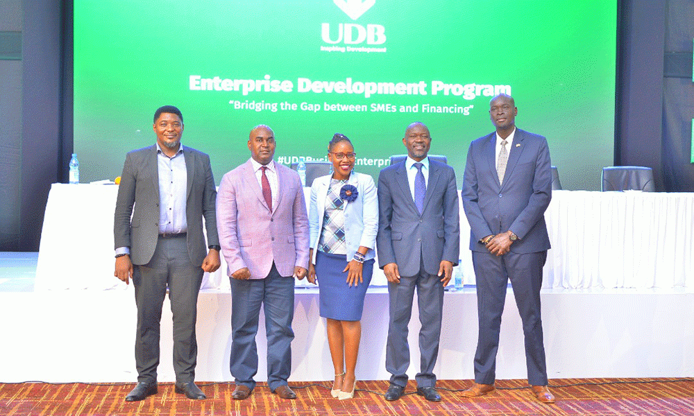 UDB Prepares Businesses For Access To Finance