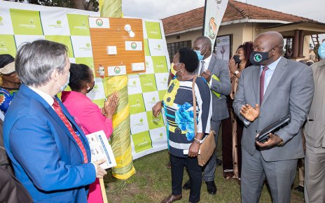 Umeme invests USD 4.2m in Luuka