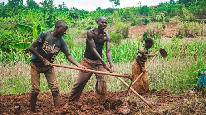 Small-scale farmers want Agroecology Farming Systems in the EAC promoted - Vimarsana News